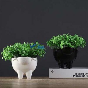 Vaso flores de ovelha