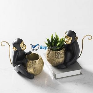 Vaso 18092013